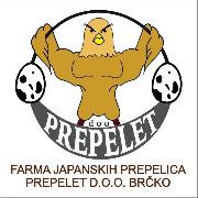 Profile photo of Adnan Ibrahimović